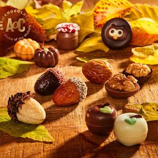 Outlet price €16.75 - Autumn chocolate