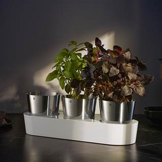 Kräutergarten 3-teilig | Outletpreis € 54,59