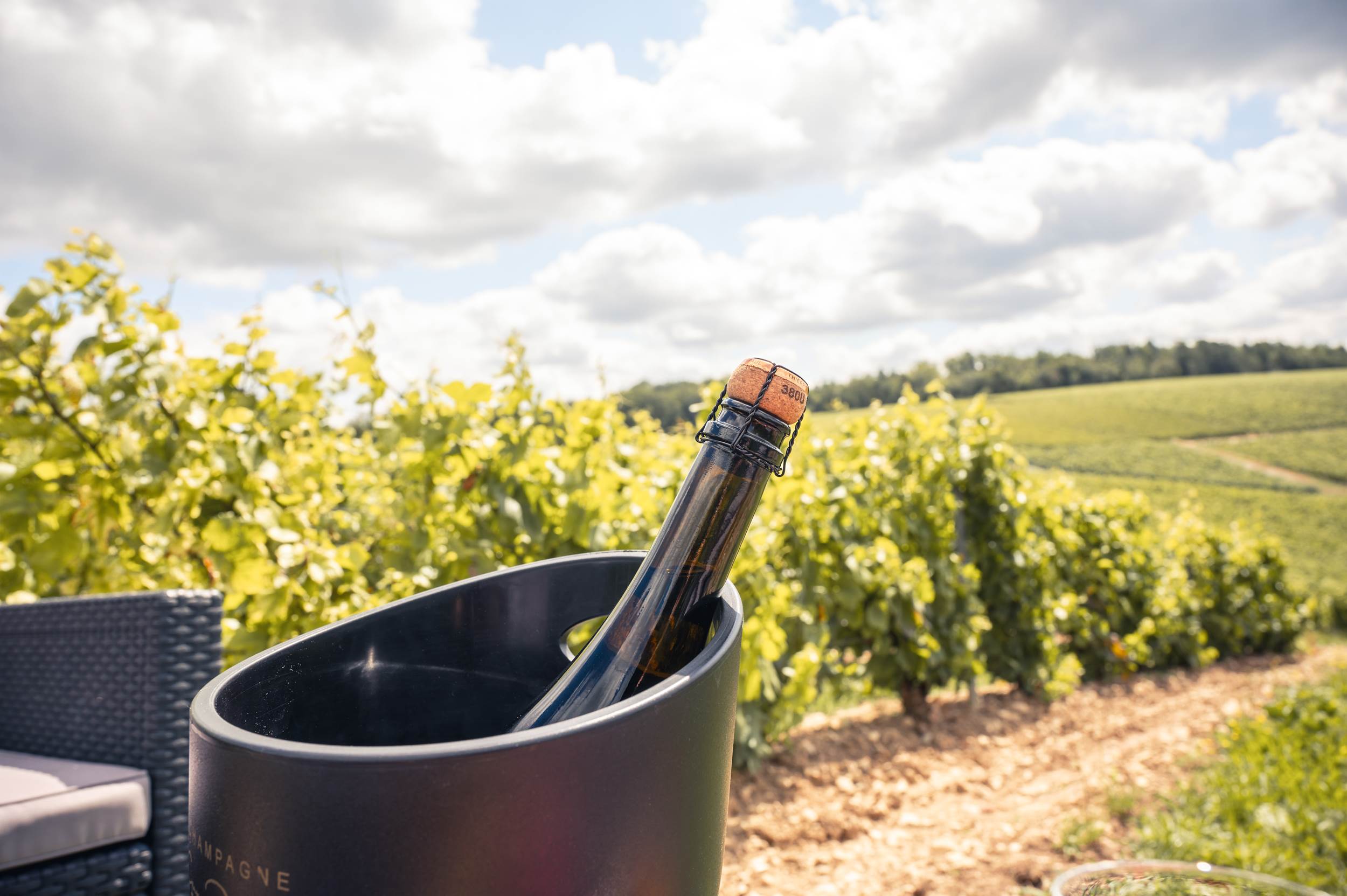 Champagne I McArthurGlen Troyes