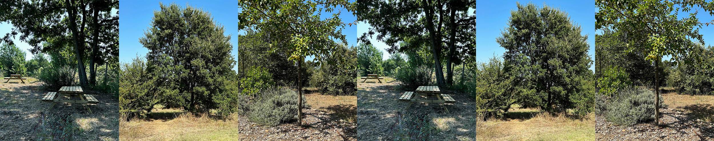 Castel Romano Designer Outlet | Affiliated WWF Oasis Castel Romano