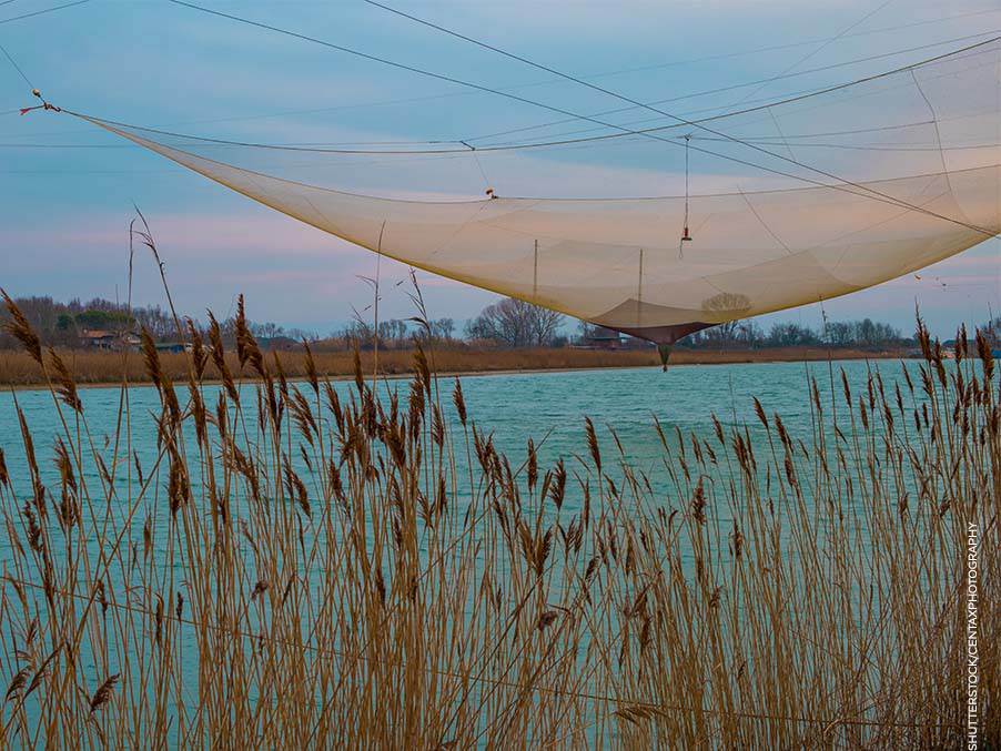 Noventa di Piave