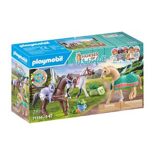 3 Pferde: Morgan, Quarter Horse & Shagya | Outletpreis € 13,99