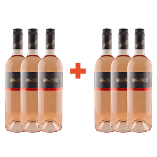 3+3 bottles free on Rosé Cuvée Bio from organic winery Anita and Richard Goldenits
