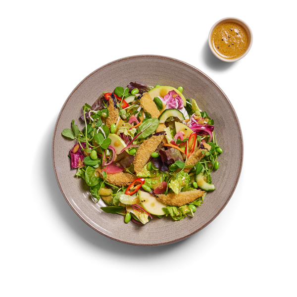 LNS0825 - Wagamama - salad yasai _ aubergine katsu.png