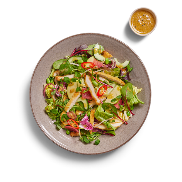 LNS0825 - Wagamama - salad chicken katsu.png